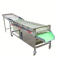 Machine de tri et de calibrage multifonctionnelle pour pommes de terre, ail, cerises, prunes, dattes, noix de cajou, ananas, légumes et fruits