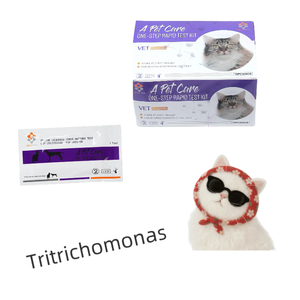 Kedi dışkısı testleri Tritrichomonas foetus test kitleri evde kullanım kolay test minimum sipariş adedi yok - Product Image 1