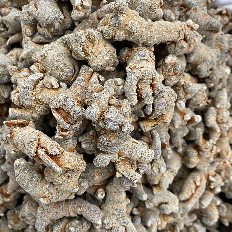 Transseksual arilar boladi