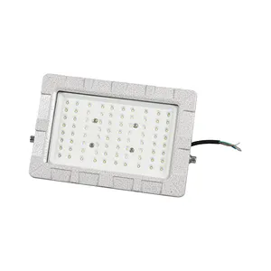 פנס LED עמיד בפני פיצוץ פנס LED חיצוני IP66 פנס LED