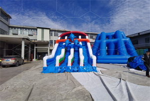 Équipement d'amusement Glissière d'eau <span class=keywords><strong>gonflable</strong></span> petit dauphin à double voie <span class=keywords><strong>pour</strong></span> <span class=keywords><strong>piscine</strong></span> <span class=keywords><strong>hors</strong></span> <span class=keywords><strong>sol</strong></span> - Product Image 2