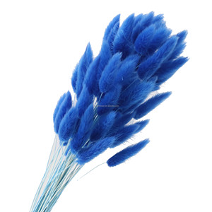 Ramo de Flores Secas de Cola de Conejo en Degradado de Colores Populares para Decoración de Bodas y Regalos, Lagurus Ovatus - Product Image 3