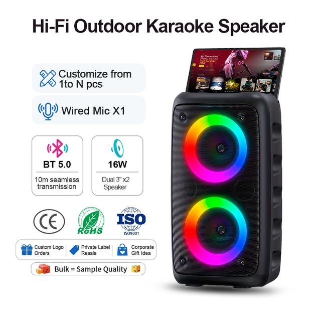 New Product Dual 3 Inch BT Karaoke Professional Equipos De Sonido Speakers  Wireless Portable 30w