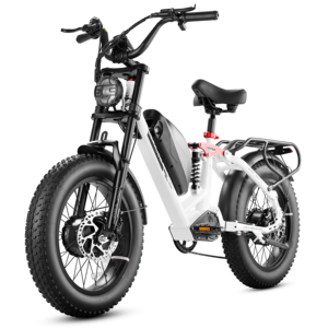 Bicicleta Eléctrica Híbrida Eahora Personalizada con Batería de Litio de 48V y Neumáticos Anchos para Adultos, para Ciudad y Carretera, Almacén en la UE - Product Image 1