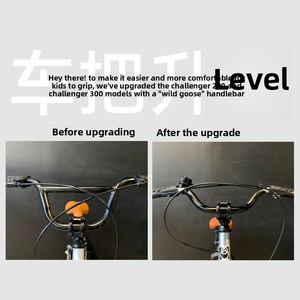 Vélos VTT <span class=keywords><strong>20</strong></span> <span class=keywords><strong>pouces</strong></span> pour garçons et filles de 6 à 12 ans ; Vélos à pédales pour étudiants, modèle Chine - Product Image 3