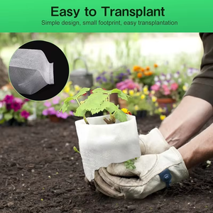Tessuto Non tessuto monouso biodegradabile vivaio borsa piante piantina di crescita sacchetti - Product Image 2