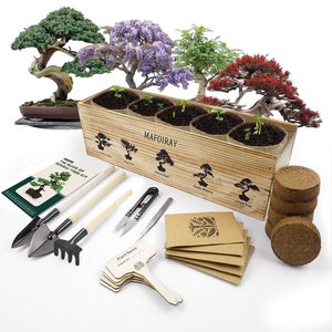 Kit de démarrage pour bonsaï <span class=keywords><strong>japonais</strong></span> en bambou carré 5X avec pots d'intérieur/extérieur pour la culture de bonsaïs à la maison ou au <span class=keywords><strong>jardin</strong></span> - Product Image 1