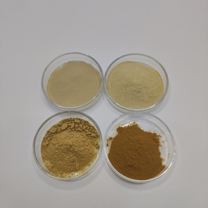 Auricularia aularia תמצית פטריה שחורה פטריות תמצית אבקה - Product Image 3
