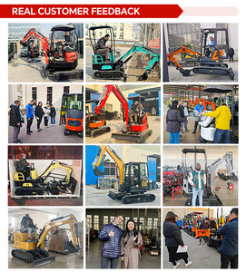 <span class=keywords><strong>Mini</strong></span>-excavatrice sur chenilles avec accessoires, 1,8 à 3,5 tonnes, certifiée EPA, avec moteur, boîte de vitesses et PLC, pour usage agricole - Product Image 6
