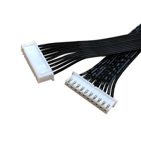 Cavo a nastro Dupont 2.0 personalizzato a 4-12 vie, a 2 file, con cavo piatto in rame, isolato in PVC, classificato IP68, per moto, DC30V