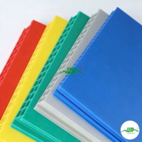 Gloednieuwe Zwarte Pp Voor Holle Bord Partitie 2Mm Dikke Anti-Statische Vlamvertragende Plastic Recyclebare Custom Snijservice