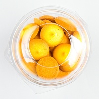 Offre Spéciale – Boîte d'emballage jetable en PET pour cupcakes, pâtisseries, fruits, desserts, muffins, pains et gâteaux – Contenant transparent
