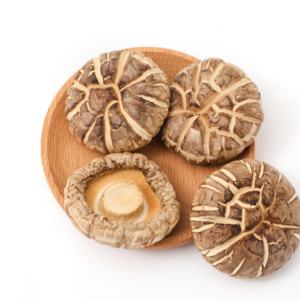 优质营养栽培干花蘑菇完好 - Product Image 5