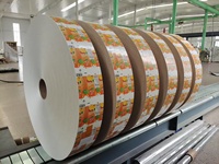 Boîtes en carton de 125 ml fabriquées en Chine pour l'emballage de jus/lait, emballages en carton pour le remplissage de jus