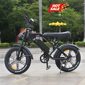 荷兰电动自行车250w 750w电机48V 15Ah电池20英寸fatbike液压制动器v20 elektrische fiets