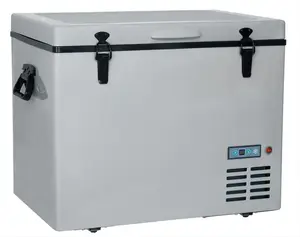 Klasik Model BR55C4 55L çift bölgeleri kompresör dondurucu buzdolabı kamp soğutucu küçük buzdolabı