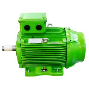 Motor de Inducción Trifásico <span class=keywords><strong>Leroy</strong></span> Somer de 100 HP, 75 KW, 380 V, 50/60 Hz, 1500 rpm, IE2, IE3, IE4, Protección IP55, <span class=keywords><strong>Aislamiento</strong></span> F, PT100 - Product Image 2