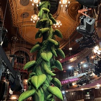 Décoration de scène de théâtre gonflable personnalisée, plantes vertes géantes gonflables pour le plafond, vignes pour pantomimes, Jack et la tige de soja