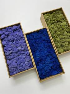 Prefleur ETERNAL Square Color Mix Pack Muschio di Renna Stabilizzato Verde Naturale Kit Fai da Te San Valentino Arte da Giardino Parete Fiorista - Product Image 4