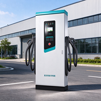 Chargeur rapide DC pour centrale solaire, station de recharge pour véhicules électriques à double connecteur avec écran tactile, lecteur de carte, IP54, utilisation en extérieur