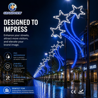 Décorations commerciales, motif de rue LED, éclairage de poteau en forme d'étoile, éclairage de poteau de Noël, éclairage extérieur pour projet d'éclairage paysager municipal