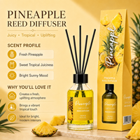 Diffuseur de parfum d'ambiance 100 ml, écologique, bâtonnets naturels, bouteille en verre recyclable, longue durée, idée cadeau