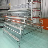 Jaula Galvanizada Automática para Gallinas Ponedoras de 4 Niveles, para 128 Aves, Cría Avícola, 500 Gallinas, 96/120/128/160 Aves Ponedoras