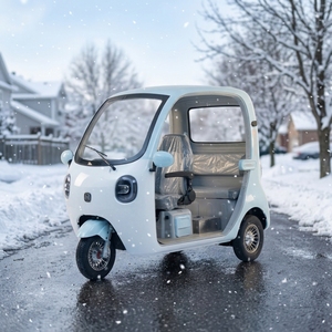 2026 Mini Cabrio 1000W Niedriggeschwindigkeits-Elektrodreirad Lenker-Elektrofahrzeug Blei-Säure-Pendlerfahrzeug – Bestseller in Japan - Product Image 1