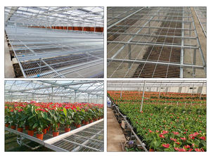 Mesa Hidropónica para Semilleros, Mesa <span class=keywords><strong>de</strong></span> Cultivo Flotante <span class=keywords><strong>de</strong></span> 4x8, Mesa <span class=keywords><strong>de</strong></span> Flujo y Reflujo - Product Image 5