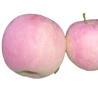 Appelfabriek Levering 2022 Nieuwe Oogst Verse Appel Groothandel Vers Fruit Rode Appelfruit Uit China