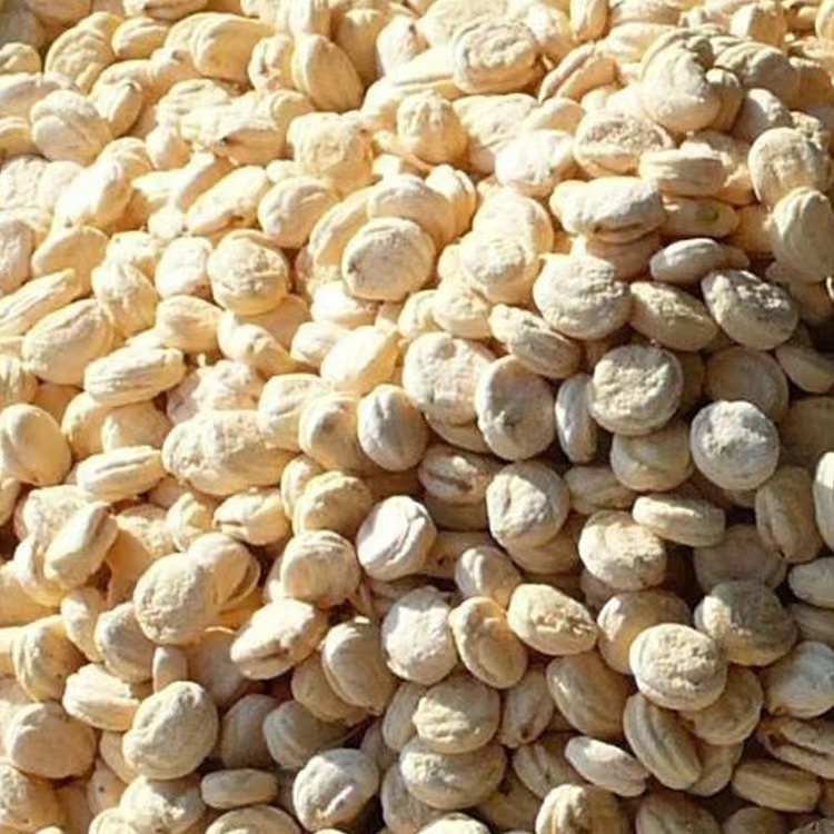 Dried Ginseng Seeds Dry Taste Food
