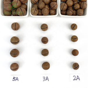 Chất lượng cao với giá cả cạnh tranh 25mm + hạt Macadamia Trung Quốc rang và sấy khô thực phẩm ăn nhẹ. - Product Image 6