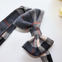Ensemble de vêtements pour animaux de compagnie en gros : Jupe à bretelles à carreaux pour chien avec nœud en dentelle et laisse – Vente directe usine