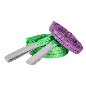 1t 2t 3t Polyester Flat Endless Round Webbing Sling