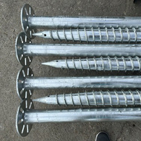 Ancrages à vis hélicoïdales en acier au carbone galvanisé à chaud Baichuan pour fondations profondes et systèmes de montage solaire
