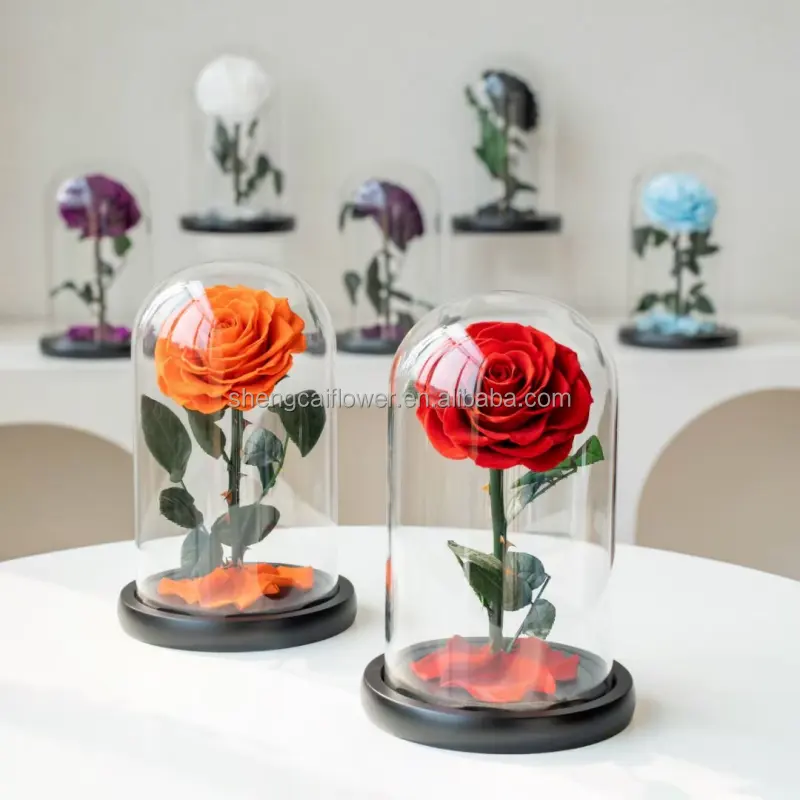 2024 가장 인기있는 선물 영원한 꽃 보존 장미 유리 돔에서 진짜 신선한 장미 어머니 날 발렌타인 데이 선물