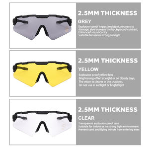 卸売PC防砂および飛散防止昆虫は標準処方メガネに対応戦術スポーツ保護ゴーグル - Product Image 4