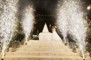 CD08 Fase fuochi d'artificio freddi base dispositivo di accensione/fuochi d'artificio a distanza sistema di cottura - Product Image 5