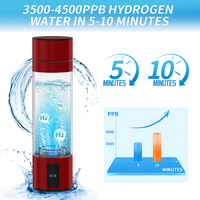 Bouteille d'eau hydrogénée alimentée par USB 5000ppb 2025 Bouteille d'eau hydrogénée portable Gourde 300ml Générateurs d'eau hydrogénée
