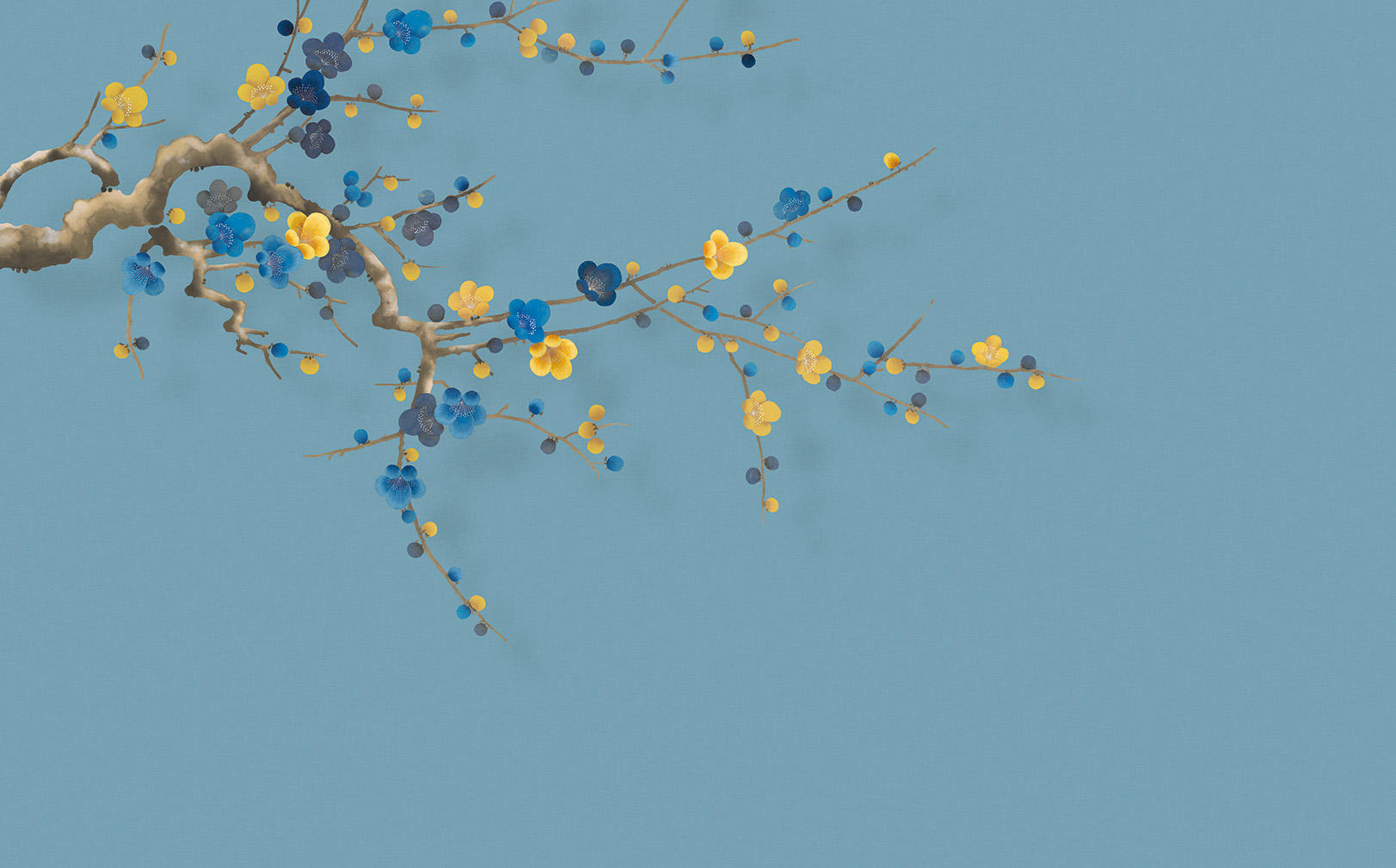 CX22021-B   CX22021-B