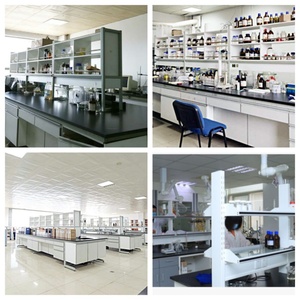 สเปอร์มิดีน ไตรไฮโดรคลอไรด์ 99% (CAS 334-50-9) สเปอร์มิดีน 3HCl ความบริสุทธิ์สูง เกรดโมเลกุลน้ำหนัก 254.629 MF C7H22Cl3N3 สี<span class=keywords><strong>ขาว</strong></span> - Product Image 4