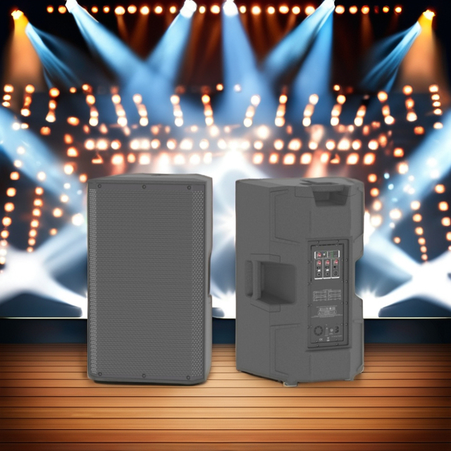 Professional 12-Inch DSP Active Speaker D-Class Plastic Audio Sound Equipment