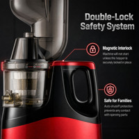 Extracteur de jus lent à mastication en gros 250W 60 tr/min Faible bruit Goulotte d'alimentation 80 mm Nettoyage facile avec brosse