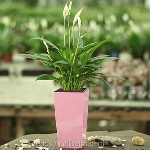Mini <span class=keywords><strong>pot</strong></span> de fleurs carré pour décor de cuisine, <span class=keywords><strong>pot</strong></span> pour arrosage automatique de <span class=keywords><strong>lechuza</strong></span>, vente exceptionnelle - Product Image 3
