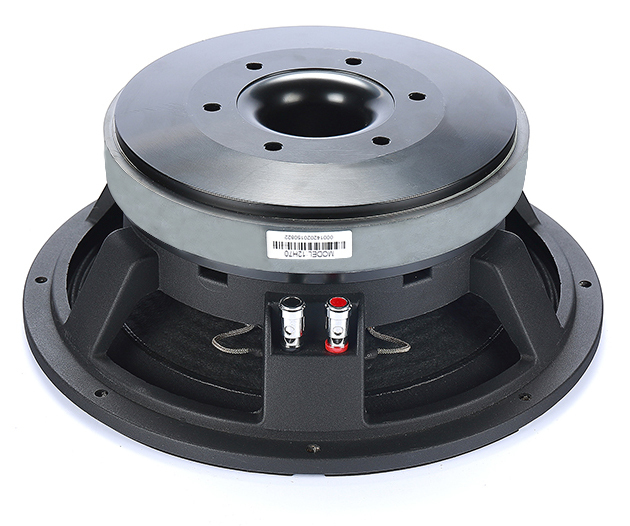 12-inch Speaker Mid-bass Line Array Audio