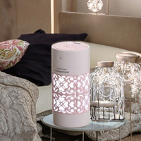 Diffuseur d'huiles essentielles ultrasonique YINHI pour voiture, extérieur, maison, mini humidificateur USB en plastique 250 ml avec LED à changement de couleur