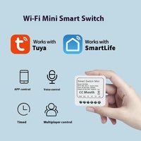 Pour Tuya Mini Smart Switch 16A Rail Smart Home Disjoncteur Relais Durable PC Matériel Étanche 16A Max. Courant 240V Max.