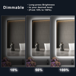 Rectangular Backlit <b>Mirror</b> Bathroom 30x40 <b>Led</b> Lighted Vanity <b>Wall</b> Mount - Product Image 6
