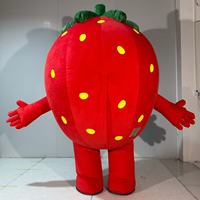 Costume de mascotte de fraise gonflable personnalisé Efun Professional, costume de mascotte de fruit en peluche pour adulte