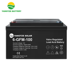 Yangtze hogere kwaliteit 12 v 100ah zeil batterij